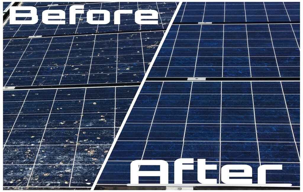 Professional solar panel cleaning service by Cleanify in Tauranga for maximum panel efficiency and maintenance